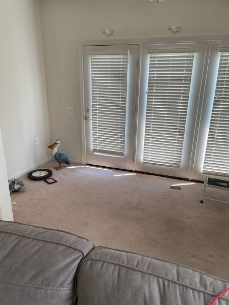 The Cleanhaus Effect LLC
