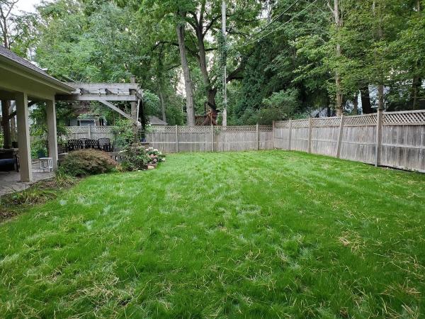M.Y. Landscaping