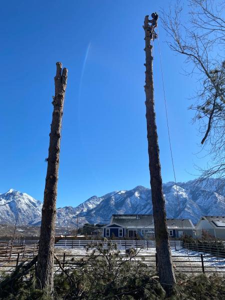 Romerito Landscaping Utah