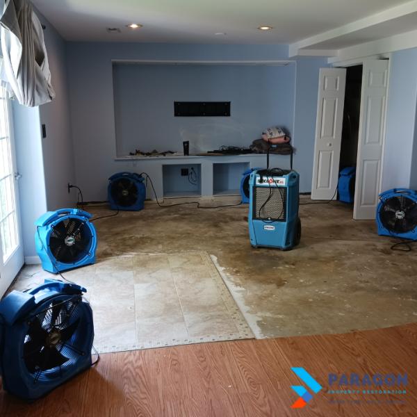 Paragon Property Restoration