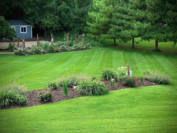 Organic Lawns by Lunseth