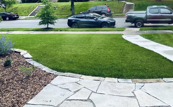 Organic Lawns by Lunseth