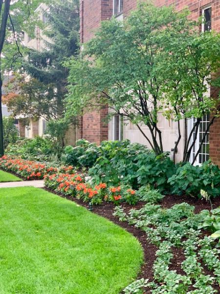 Nature's Path Landscaping
