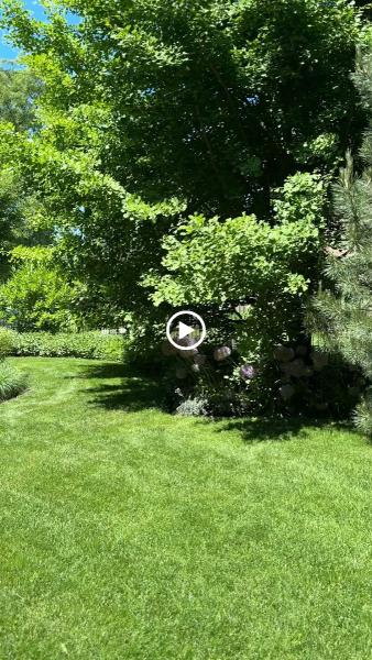 Arts Landscaping & Maintenance LLC
