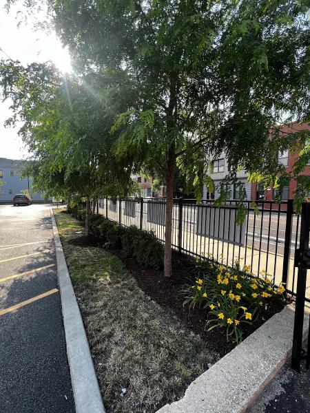 Arts Landscaping & Maintenance LLC