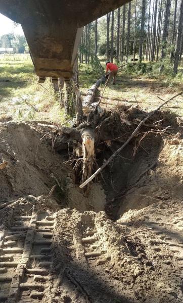 Hernando Tree Pros