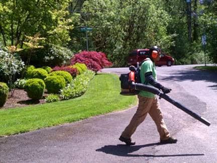 Pacheco Landscape Maintenance