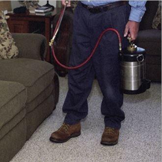 Affordable Pest Control