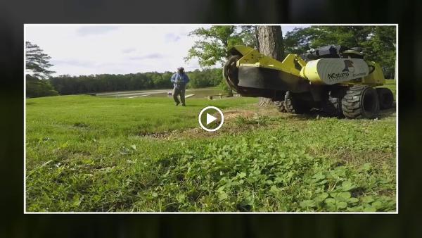 1.855.NC Stump Grinding