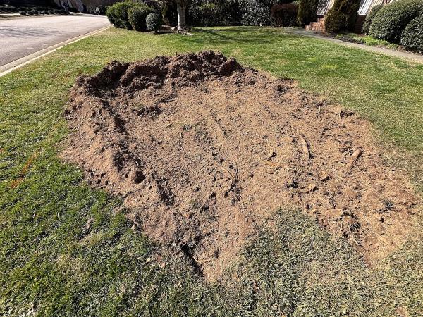 1.855.NC Stump Grinding