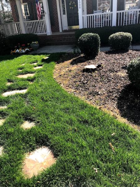 1.855.NC Stump Grinding