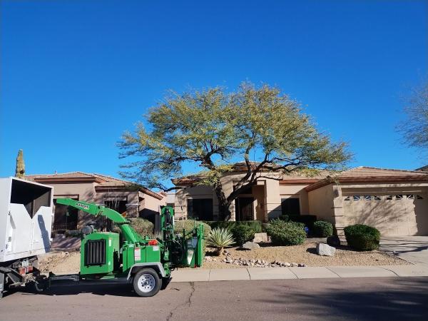 Valley Tree Feeders