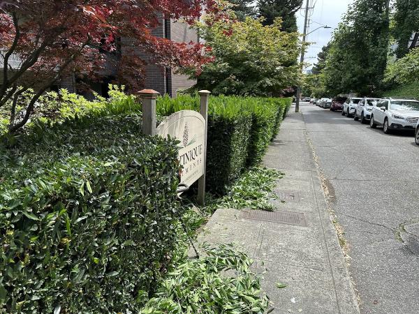 ECO Landscaping LLC