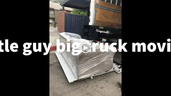 Little Guy Big Truck Moving