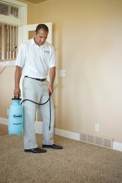 Five Star Chem-Dry Upholstery & Carpet Cleaning