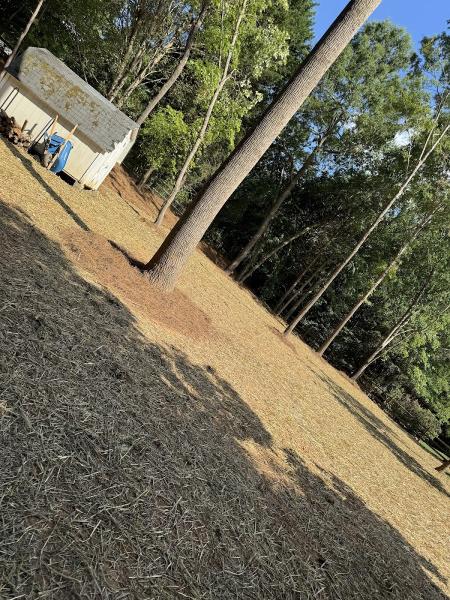 Landscaping NC
