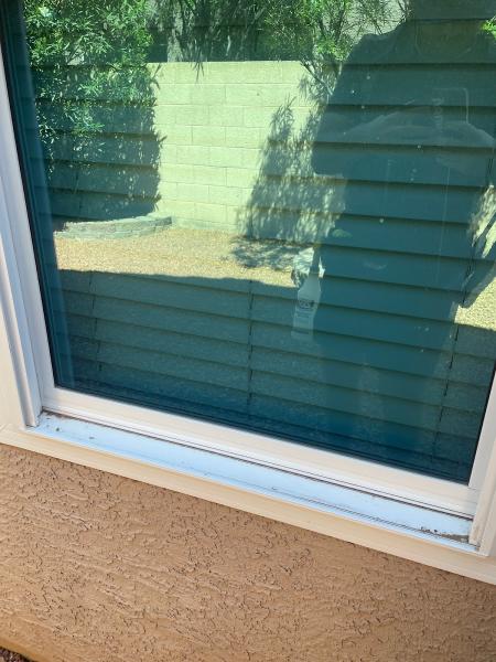 The Window Cleaning Guys