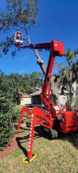 Empire Tree Experts