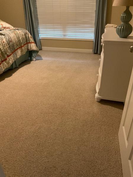 Premier Carpet Care & Water Damage Restoration