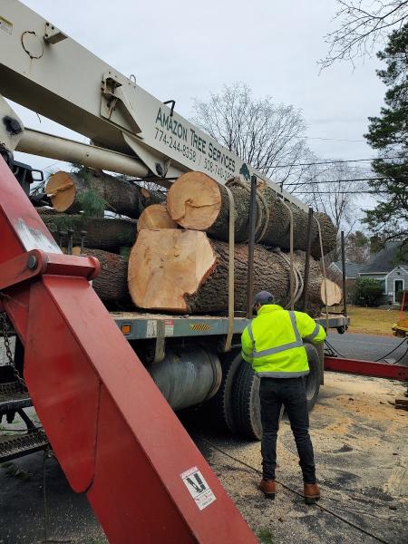 Amazon Tree Services