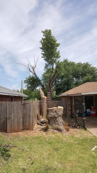 Thomason Lawn Care