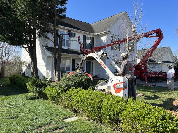 Compton's Tree Service Inc