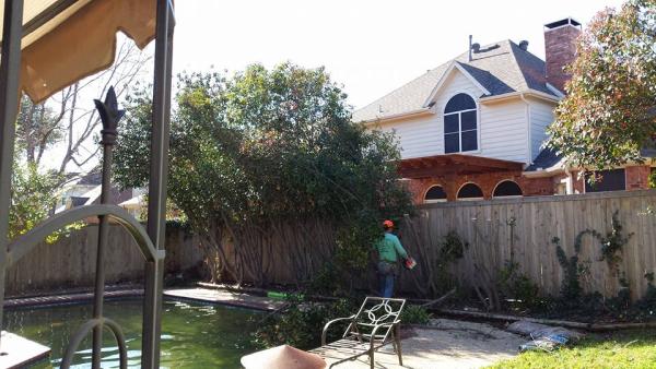 JJ Tree Service