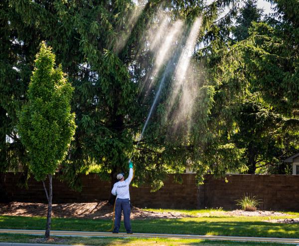 Signature Lawn & Treemasters