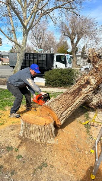 VSG Property Maintenance