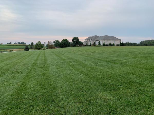 Kapp's Green Lawn