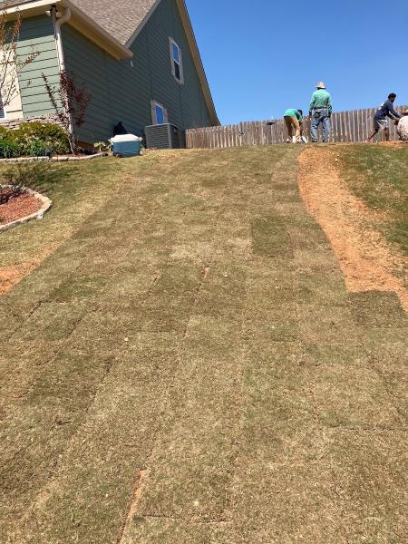 Auburn Lawn Solutions