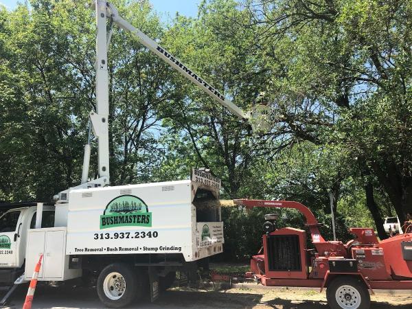 Bushmasters Tree Care