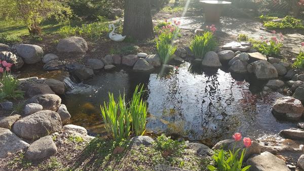 Perennial Gardens