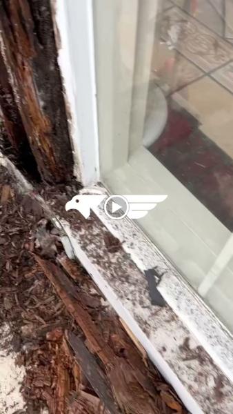 American Dream Siding & Decking