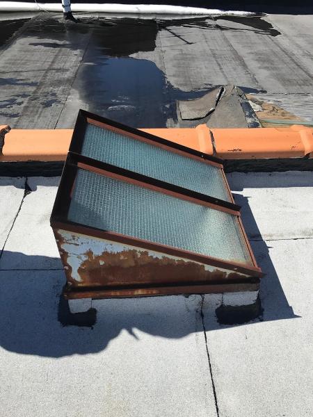 Bill White Roofing & Waterproofing