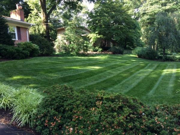 Blue Ridge Lawn Care Services