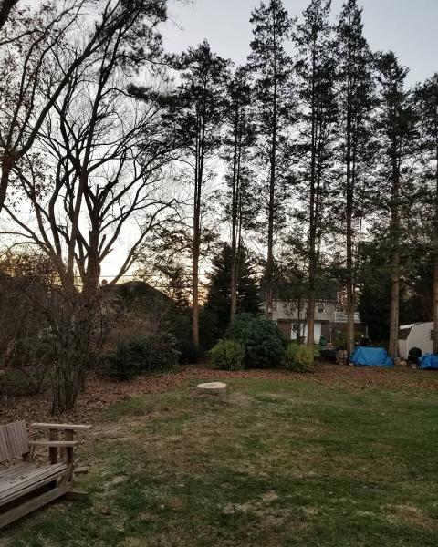 Lebanon Valley Tree Care