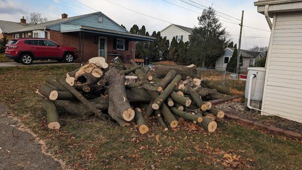 Lebanon Valley Tree Care