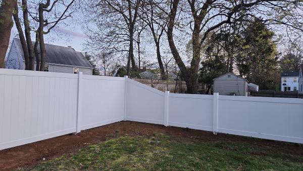 Friends and Fence