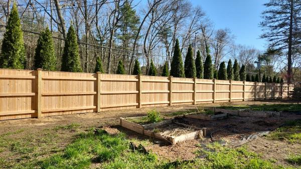 Friends and Fence
