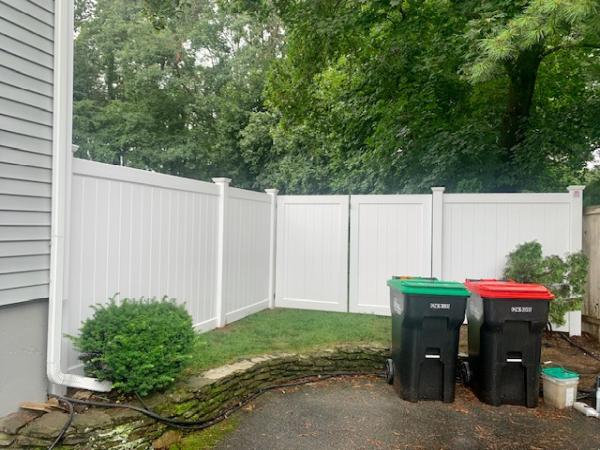 Friends and Fence