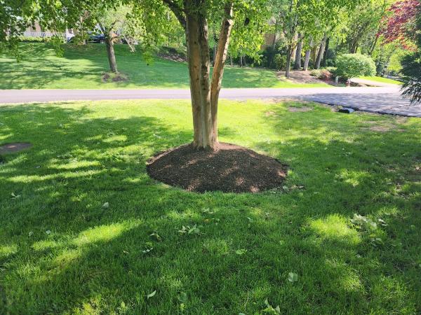 Triple A Landscaping LLC