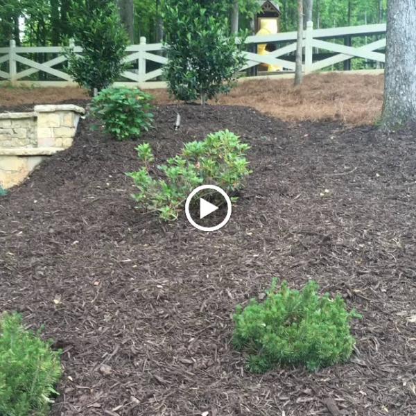 Dogwood Landscaping