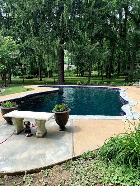Frog's Pool Renovations