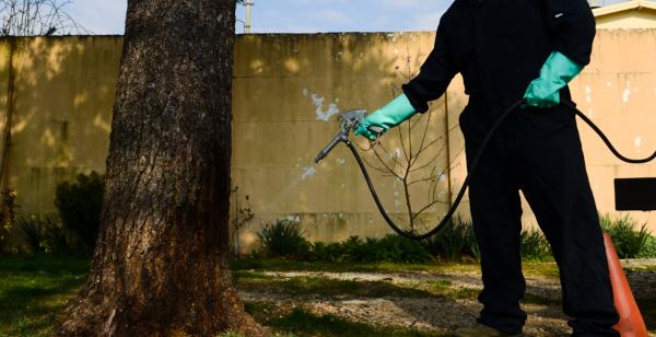 Pleasanton Pest Control