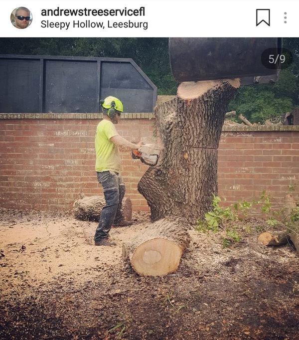 Andrews Tree Service Fl