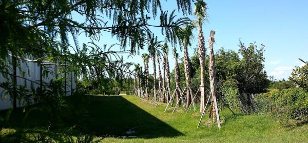 TCI SOD Fort Myers