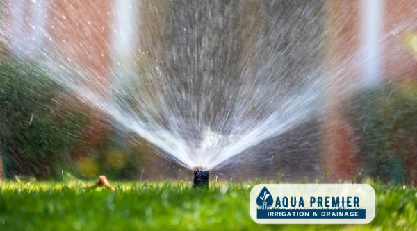 Aqua Premier