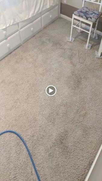 Hilbrands Carpet Care