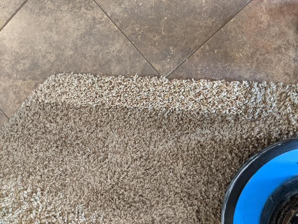 Hilbrands Carpet Care